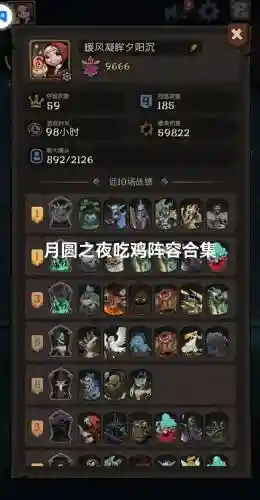 夜南搭配阵容插图1