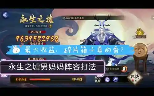 海男阵容插图