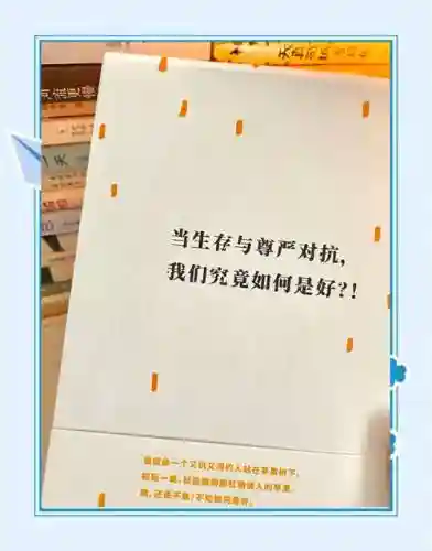 生存与尊严攻略插图1