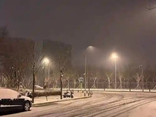 机智阵容图片插图1