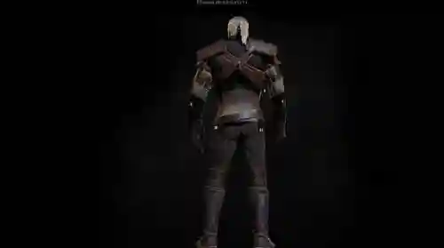 巫师3狩魔猎人装备mod插图