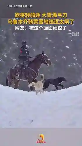 大雪骑马阵容搭配插图1