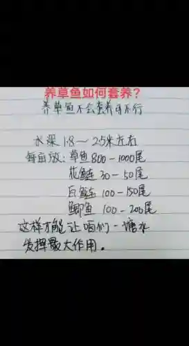 养鱼阵容配置插图1