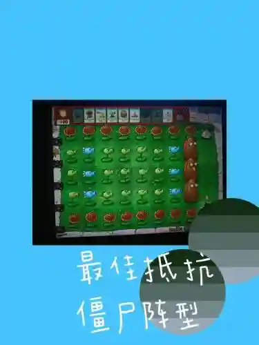 对付僵尸阵容插图