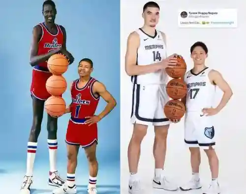 矮阵容篮球插图1