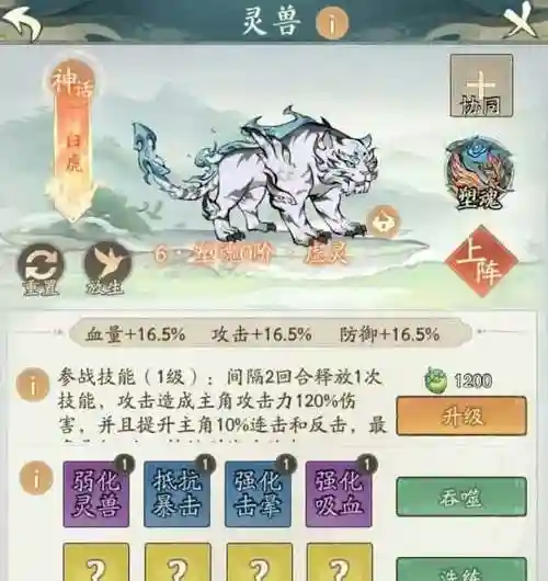 全民白虎阵容插图1