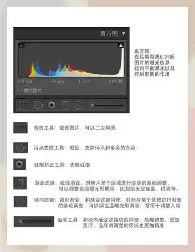 photographs攻略预_1插图1