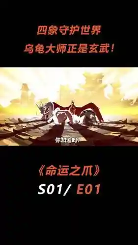 玄武龟阵容插图1