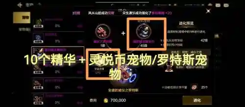 dnf2019五一礼包宠物装备属性_1插图1