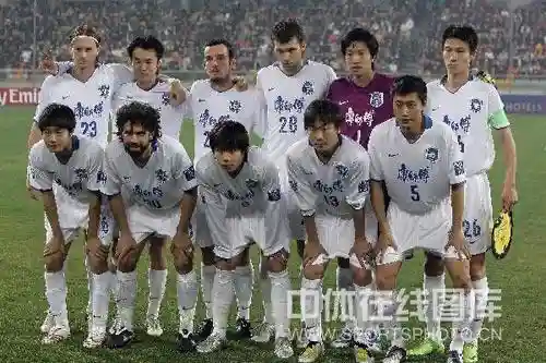 2010泰达阵容_1插图1