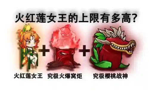 红莲阵容大全_1插图1
