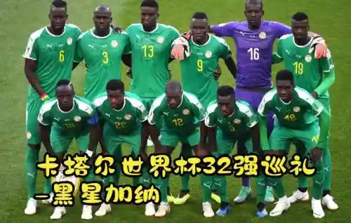 今年加纳阵容插图