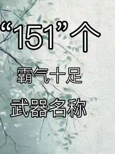 武器和装备名称插图