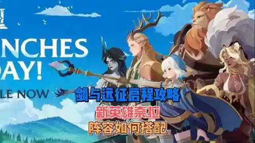 奈拉阵容搭配插图