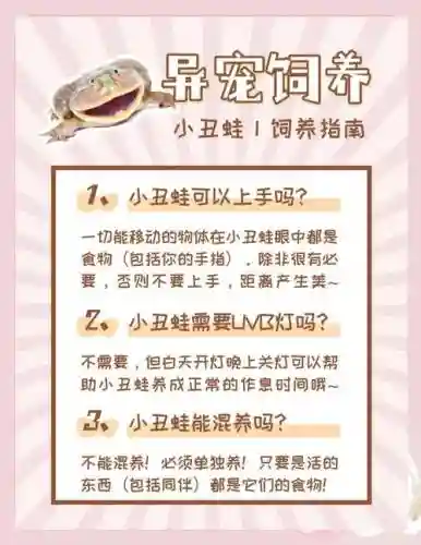 最近火的养蛙游戏攻略插图