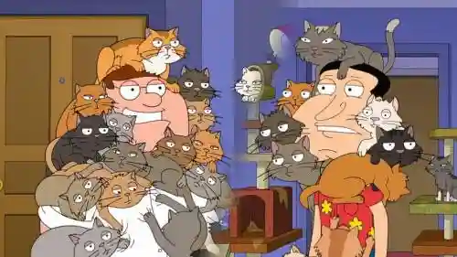 网吧猫阵容插图1