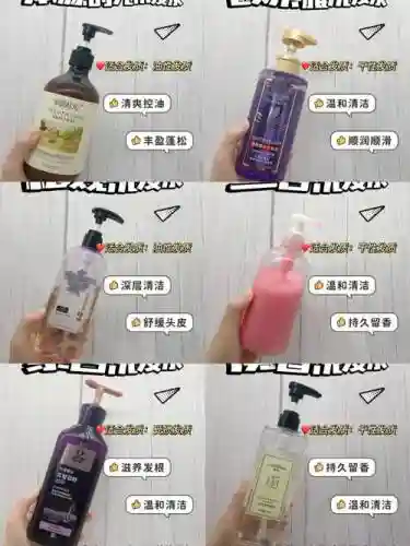 洗头阵容插图
