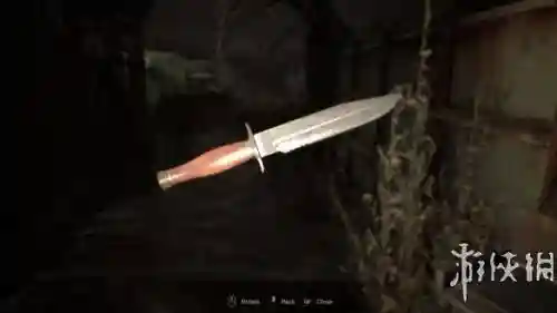 生化7损坏武器插图