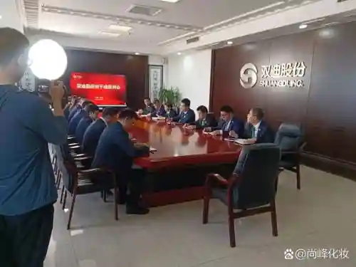 双迪阵容插图1