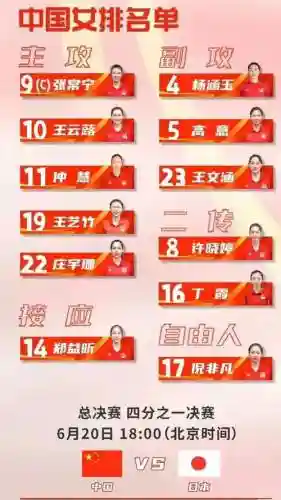 女排分组阵容插图