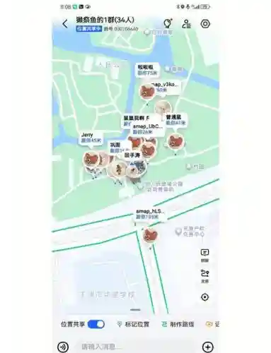 年糕虎猫任务攻略插图1