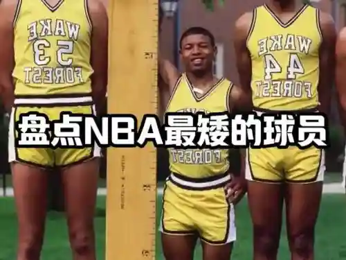 矮阵容篮球插图