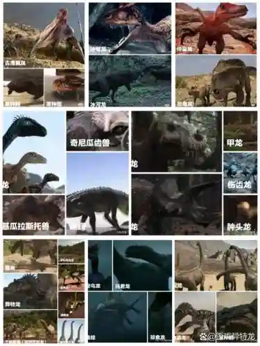 下棋恐龙阵容插图1