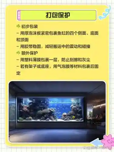 养鱼大亨攻略升级鱼缸插图