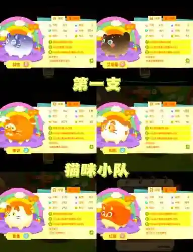 猫咪怎么搭配阵容插图1