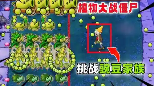 pvz豌豆阵容_1插图