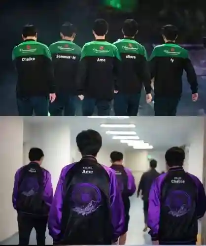 lgdpsg亚军阵容插图