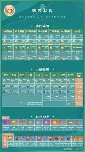 风主阵容搭配插图1