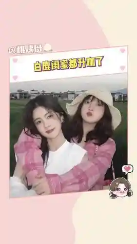 樱白鹿阵容搭配插图