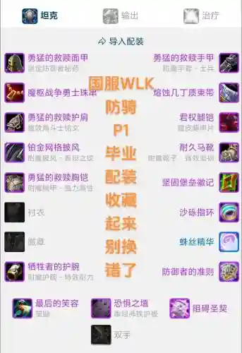 圣骑士卢克奶装备插图1