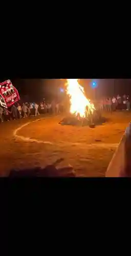 篝火最强阵容插图1