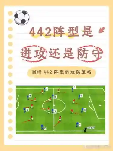 独特的阵容插图