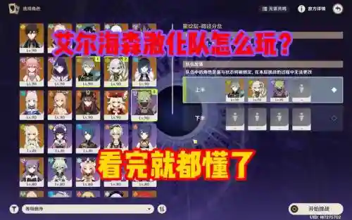 多鲸阵容搭配插图