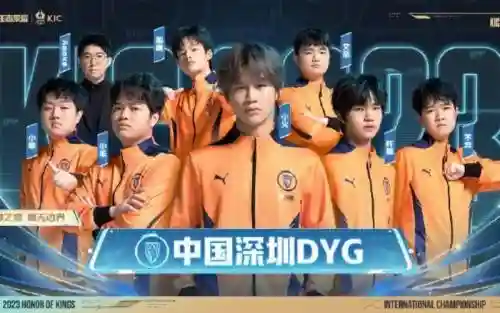 dyg相同阵容插图