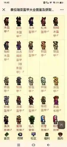 泰拉瑞亚的装备大全表插图