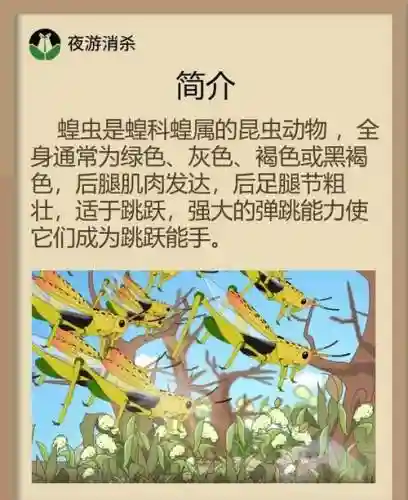 新版蚂蚱技能连招插图