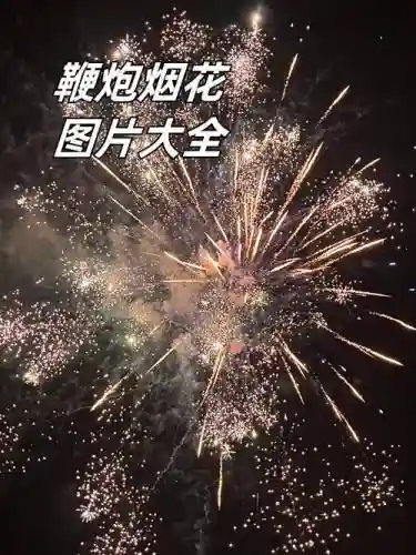 鞭炮烟花阵容_1插图