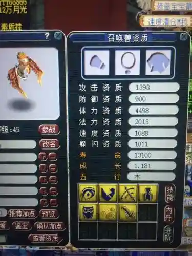梦幻西游弱点雷的宠物插图