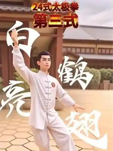 武当技能白鹤亮翅插图