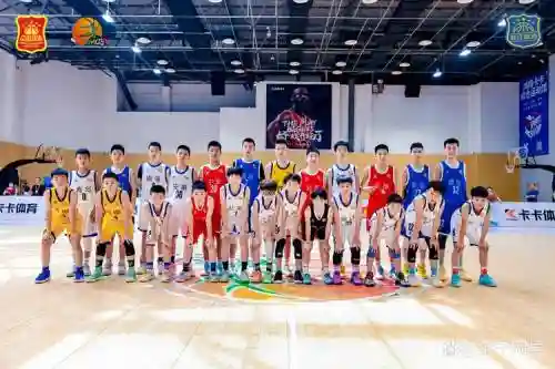 小篮球阵容搭配插图