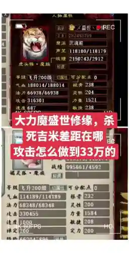 大话3大力男妖装备搭配插图1