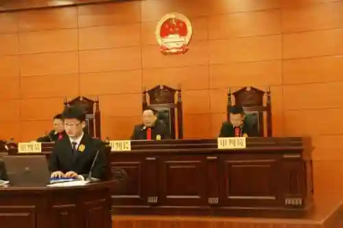 打官司阵容插图1
