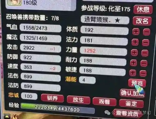 梦幻西游一点伤害和一点力量插图