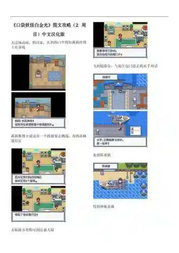口袋妖怪攻略大全白插图