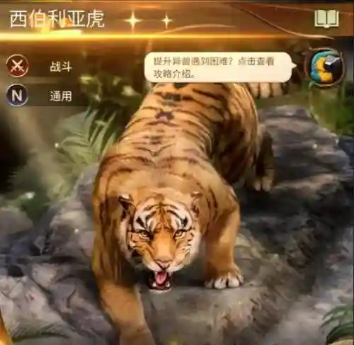 老虎最强阵容搭配插图
