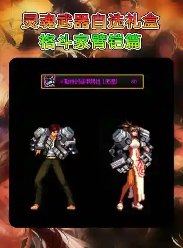 远古装备礼盒选哪个格斗家插图